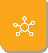 Widest network of Airlines