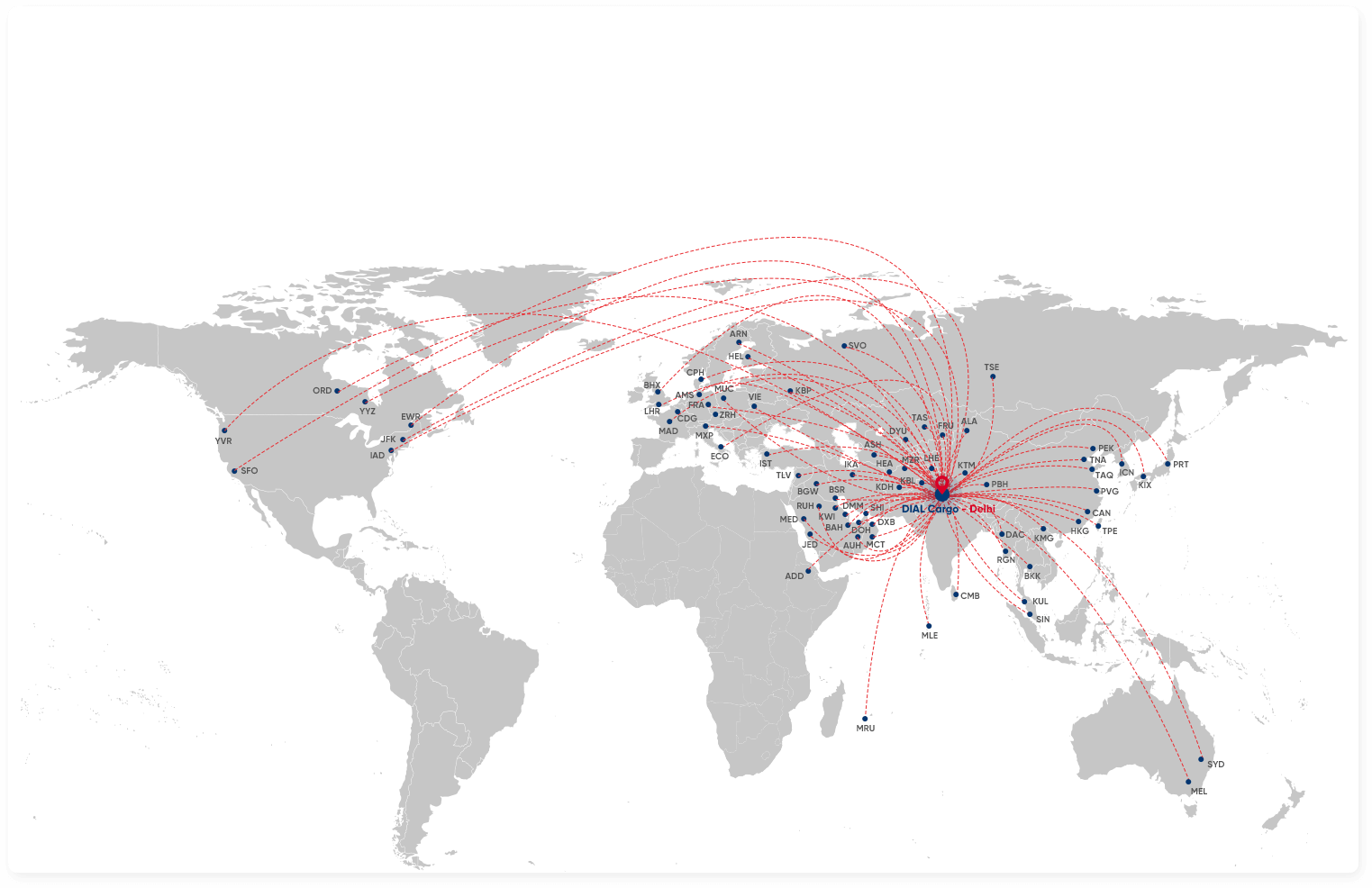 Delhi Airport Cargo International Network
